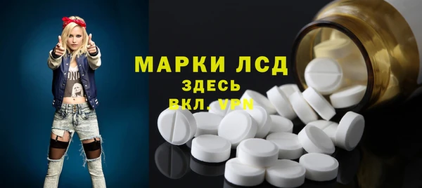 индика Вязники
