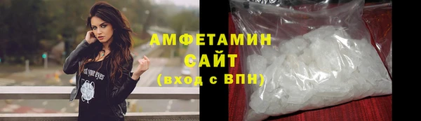 индика Вязники
