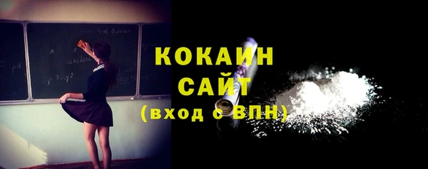 индика Вязники