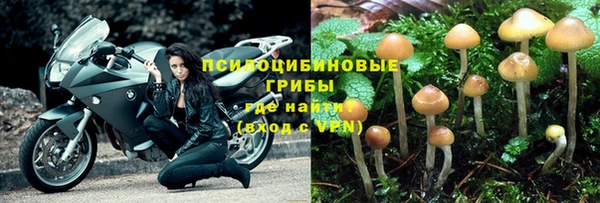 хмурый Вяземский