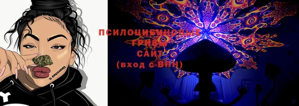 хмурый Вяземский